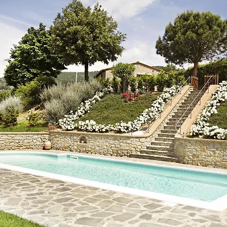 Lavanda Cortona