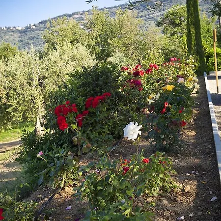 Tatil Evi Lavanda *