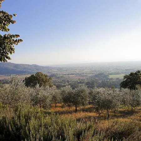 Tatil Evi Lavanda *